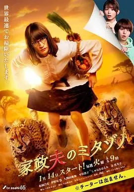 《家政夫三田园 第7季》：看似平凡的家政夫，实则隐藏着怎样的秘密？